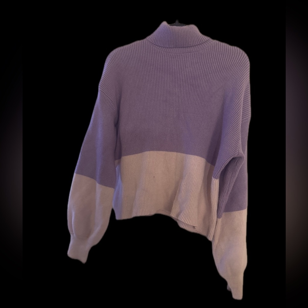 Francesca's Collections Purple and lavender Turtleneck Sweater